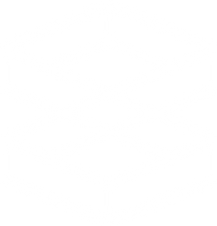 Spedition Log Logo